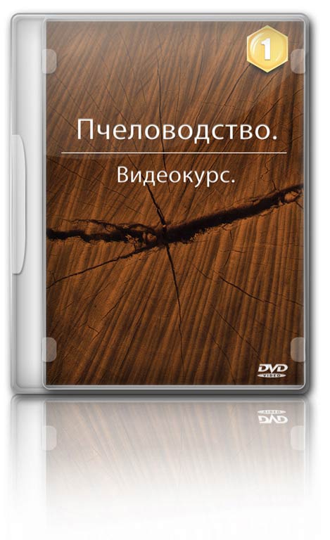 1 DVD: ����������� ������, ������� ������������, ���������.